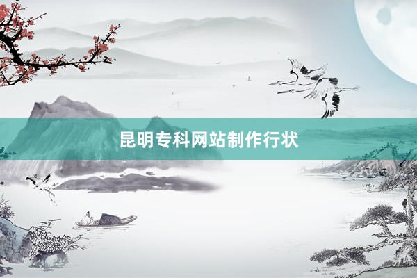 昆明专科网站制作行状