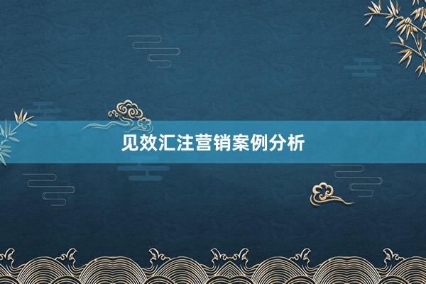 见效汇注营销案例分析